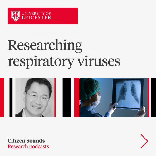 Researching respiratory viruses image